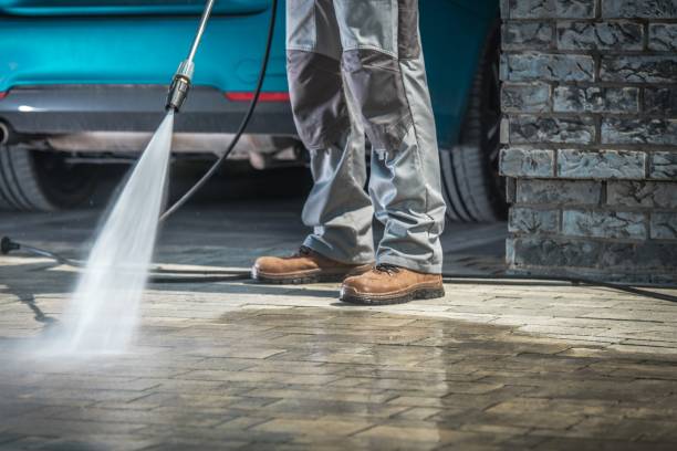 Best Winterizing Services  in Roosevelt Park, MI
