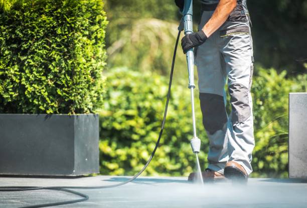 Best Gutter Cleaning  in Roosevelt Park, MI