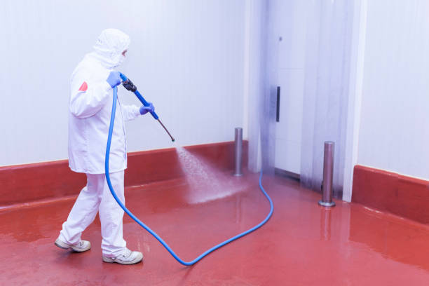 Trusted Roosevelt Park, MI Pressure Washing Experts