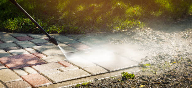 Best Spring Cleaning  in Roosevelt Park, MI